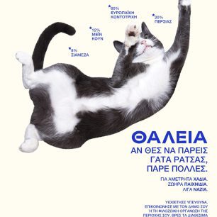Καμπάνια ευαισθητοποίησης για την υιοθεσία των αδέσποτων από Περιφέρεια Αττικής και Υπ. Εσωτερικών (βίντεο) 3 KampaniaYiothesionPerifereiaAttikisYpEsoterikon4 4 2026 3