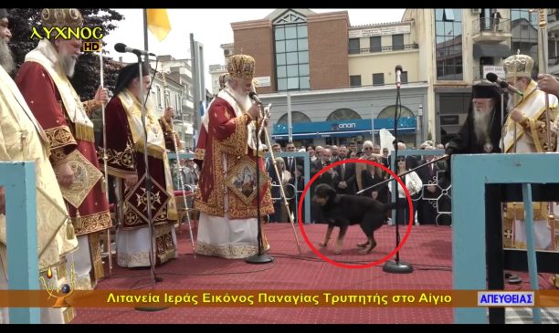 Αίγιο Αχαΐας: Ο πρ. μητροπολίτης Αμβρόσιος χτυπάει σκύλο με ποιμαντορική ράβδο για να τον διώξει (βίντεο)