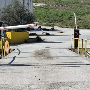Αδέσποτα μένουν χωρίς νερό και τροφή – Που πάνε τα χρήματα που ξοδεύει ο Δήμος Βόλου; (Βίντεο) 5 MozasMagnisiasAdespotaTaistra15 3 2026 1