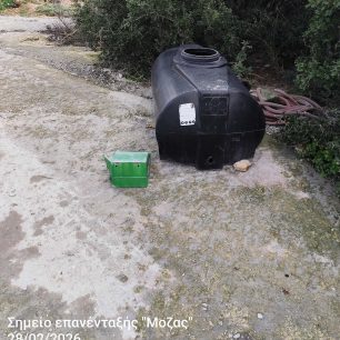 Αδέσποτα μένουν χωρίς νερό και τροφή – Που πάνε τα χρήματα που ξοδεύει ο Δήμος Βόλου; (Βίντεο) 4 MozasMagnisiasAdespotaTaistra28 2 2026 4