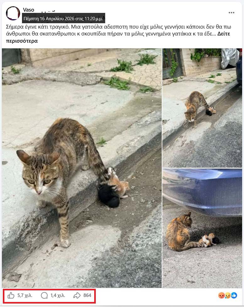 Κανείς δεν έδεσε γατάκια σε ουρά γάτας στη Νέα Ιωνία Μαγνησίας - fake news η viral «είδηση» 6 NeaIoniaMagnisiasGataOuraGatakia16 4 2026 5