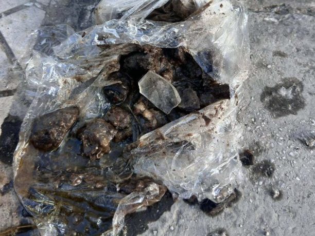 Π. Φάληρο Αττικής: Φόλες με γυαλιά στην οδό Καραολή και Δημητρίου