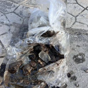 Π. Φάληρο Αττικής: Φόλες με γυαλιά στην οδό Καραολή και Δημητρίου 3 PalaioFaliroAttikisFolesKreasGyalia31 3 2026 2