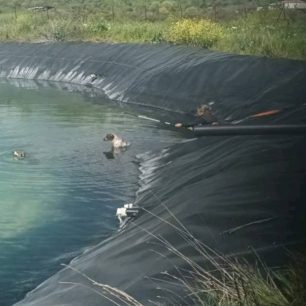 Παλαιό Κεραμίδι Πιερίας: Έσωσαν 6 σκυλιά που παγιδεύτηκαν σε τεχνητή λίμνη άρδευσης (βίντεο) 2 PalaioKeramidiPieriasSkylosTexnitiLimni10 4 2026 2