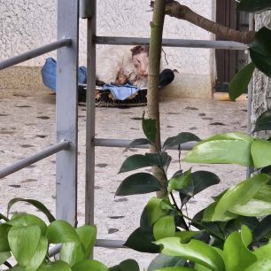 Πόρτο Ράφτη Αττικής: Πέθανε γάτα που εντοπίστηκε εξαθλιωμένη πυροβολημένη τρεις φορές με αεροβόλο (βίντεο) 3 PortoRaftiAttikisGataPyrovolimeniAerovolo18 4 2026 11