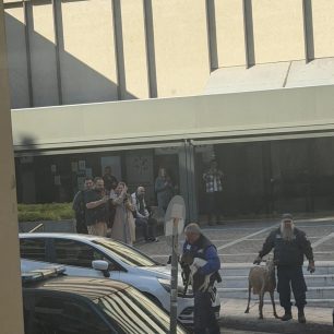 Συστηματική και για χρόνια κακοποίηση κατσικιών, κοτών και άλλων ζώων στον Πύργο Αθηνών στους Αμπελόκηπους (βίντεο) 11 PyrgosAthinonAmpelokipoiKatsikes1 4 2026 2