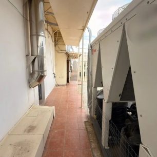 Συστηματική και για χρόνια κακοποίηση κατσικιών, κοτών και άλλων ζώων στον Πύργο Αθηνών στους Αμπελόκηπους (βίντεο) 9 PyrgosAthinonAmpelokipoiKotesPtina31 3 2026 10