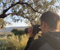 Ζάκυνθος: 14 παράνομοι κυνηγοί καταγγέλθηκαν επειδή σκότωναν τρυγόνια – Οργανωμένα κυκλώματα στα οποία η κυβέρνηση δεν μπαίνει εμπόδιο