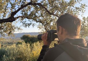 Ζάκυνθος: 14 παράνομοι κυνηγοί καταγγέλθηκαν επειδή σκότωναν τρυγόνια – Οργανωμένα κυκλώματα στα οποία η κυβέρνηση δεν μπαίνει εμπόδιο