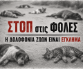 Καταγγέλλει μαζική δολοφονία ζώων στον Σταυρό Θεσσαλονίκης - 70 αδέσποτα νεκρά σύμφωνα με την αυτόπτη μάρτυρα