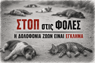 Τις δολοφονίες ζώων και με φόλες καταδικάζει και ο Δήμος Ζωγράφου