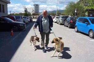 Υιοθέτησε δύο αδέσποτα σκυλιά ο Αχ. Μπέος για να αμβλύνει τις αντιδράσεις μετά τις δηλώσεις του περί ευθανασίας (βίντεο)