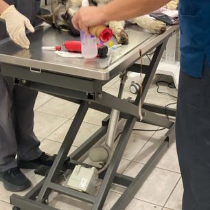 Γιαννιτσά Πέλλας: Κωπηλάτες βρήκαν στον ποταμό Λουδία σκύλο μέσα στις λάσπες σε τραγική κατάσταση (βίντεο) 8 GiannitsaPellasSkyliaPotamosLoudias27 5 2026 17