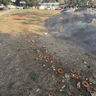 Γλυφάδα Αττικής: Πέταξε δηλητηριασμένα ψωμιά σε πλατεία και σκότωσε με τις φόλες περιστέρια και άλλα πουλιά 2 GlyfadaAttikisDilitiriasmenaPsomia12 5 2026 3