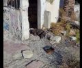 Καλλιθέα Κορινθίας: Σκύλος ζωντανός με πόδι κομμένο πιθανότατα με μπαλτά βρέθηκε πεταμένος πίσω από εκκλησία (βίντεο)