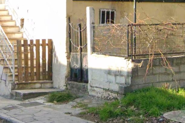 Καβάλα: Έγκλημα ή ατύχημα; Γάτα βρέθηκε σφηνωμένη σε πόρτα σε κατάσταση προχωρημένης σήψης