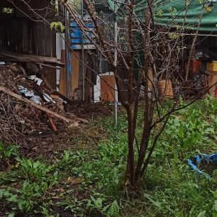 KouvelaFthiotidasSkyliaSyllektrias1 2021 28