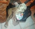 Πέθανε από θερμοπληξία σκύλος που έμεινε για ώρες κλεισμένος σε Ι.Χ. - Ο ιδιοκτήτης πέταξε το πτώμα του στο πεζοδρόμιο στο Μοσχάτο Αττικής (βίντεο)
