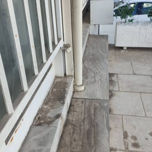Νέα Σμύρνη Αττικής: Έσωσαν γατάκι που κάποιος βασάνιζε με θηλιά από σύρμα (βίντεο) 6 NeaSmyrniAttikisGatakiSyrmatiniThylia9 5 2026 7