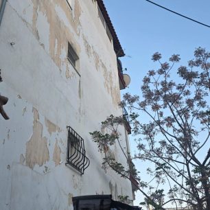 Πόρτο Ράφτη Αττικής: Εθελοντές διασώστες έσωσαν γατάκι που έκανε ισορροπία σε καλώδιο της Δ.Ε.Η. (βίντεο) 1 PortoRaftiAttikisGatakiKalodioDEH28 4 2026 1