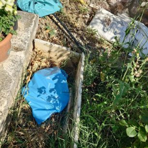 Αμάρυνθος Εύβοιας: Πέταξε πέντε νεογέννητα κουτάβια μέσα σε σακούλα (βίντεο) 1 AmarynthosEviasKoutaviaNeogennitaKouta14 6 2026 5