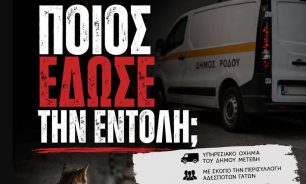Ποιος από τον Δήμο Ρόδου έδωσε εντολή για παράνομη περισυλλογή γατιών που φροντίζουν εθελοντές;