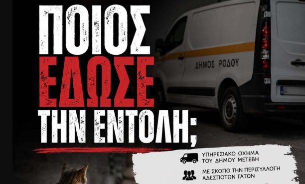 Ποιος από τον Δήμο Ρόδου έδωσε εντολή για παράνομη περισυλλογή γατιών που φροντίζουν εθελοντές;
