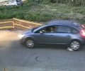 Ηλεία: 60χρονη γυναίκα και κάτοικος Γαστούνης η οδηγός που πάτησε και σκότωσε τον ηλικιωμένο σκύλο (βίντεο)