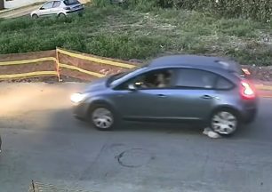 Ηλεία: 60χρονη γυναίκα και κάτοικος Γαστούνης η οδηγός που πάτησε και σκότωσε τον ηλικιωμένο σκύλο (βίντεο)