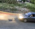 Διαδικτυακό αμόκ για λιντσάρισμα και θανάτωση οδηγού που πάτησε και σκότωσε σκύλο στη Γαστούνη Ηλείας (βίντεο)