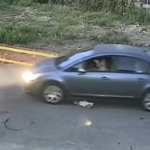 Ηλεία: 60χρονη γυναίκα και κάτοικος Γαστούνης η οδηγός που πάτησε και σκότωσε τον ηλικιωμένο σκύλο (βίντεο) 4 GastouniIleiasOdigosIXPatiseSkylo18 6 2026 6