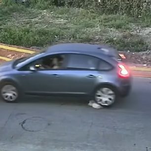 Ηλεία: 60χρονη γυναίκα και κάτοικος Γαστούνης η οδηγός που πάτησε και σκότωσε τον ηλικιωμένο σκύλο (βίντεο) 5 GastouniIleiasOdigosIXPatiseSkylo18 6 2026 7
