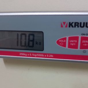 Καρδίτσα: Σκελετωμένος από πείνα και δίψα σκύλος που βρέθηκε γεμάτος τσιμπούρια στη λίμνη Πλαστήρα (βίντεο) 25 KarditsaLimniPlastiraSkeletomenosSkylos16 6 2026 17