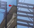 Κατερίνη Πιερίας: Γάτα κινδυνεύει πάνω σε κολώνα από χθες και o Δ.Ε.Δ.Δ.Η.Ε. απαντάει «είναι εφτάψυχη» (βίντεο)