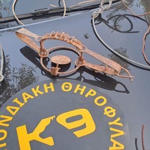 KiveriArgolidasSyrmatinesThyliesDokano30 5 2026 1