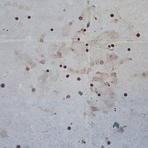 Λαύριο Αττικής: Έκκληση για να σωθεί ο εξαθλιωμένος και άρρωστος σκύλος (βίντεο) 9 LavrioAttikisArrostosSkylos23 6 2026 2