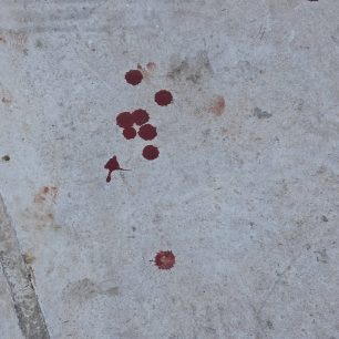 Λαύριο Αττικής: Έκκληση για να σωθεί ο εξαθλιωμένος και άρρωστος σκύλος (βίντεο) 7 LavrioAttikisArrostosSkylos23 6 2026 4