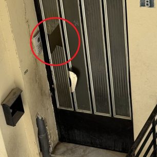 Πέραμα Αττικής: Πολλές γάτες εγκλωβισμένες σε ακατοίκητη πολυκατοικία – Έκκληση για να σωθούν 6 PeramaAttikisGatesPolykatoikia9 6 2026 9