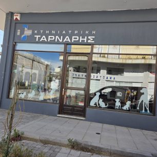 Πέτας Αχαΐας: Σκύλος σκελετωμένος και από την ασιτία βρέθηκε σε τραγική κατάσταση (βίντεο) 5 PetasAxaiasSkeletomenosSkylos31 5 2026 6