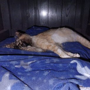 SitoxwriSerronNekriGata21 6 2026 1