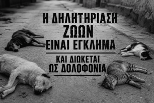 Μεγάλη Παναγιά Χαλκιδικής: Με φόλες δολοφόνησε ζώα κοντά στο Δημαρχείο