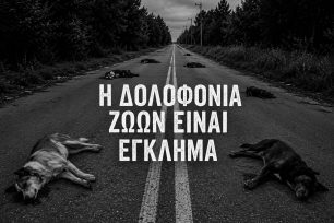 Ποροβίτσα Αχαΐας: Με φόλες εξοντώνουν σκυλιά και γάτες
