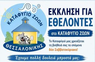 Θεσσαλονίκη: Ζητούν τη βοήθεια εθελοντών για τη φροντίδα καταφυγίου όπου φιλοξενούνται δεκάδες σκυλιά και γάτες