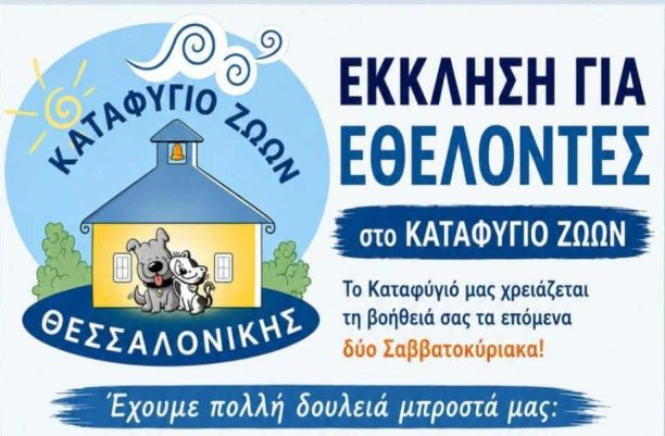 Θεσσαλονίκη: Ζητούν τη βοήθεια εθελοντών για τη φροντίδα καταφυγίου όπου φιλοξενούνται δεκάδες σκυλιά και γάτες