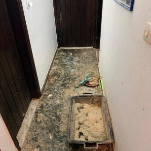 Γούβες Ηρακλείου Κρήτη: Βρήκαν γάτες να ζουν σε άθλιες συνθήκες έγκλειστες σε σπίτι μέσα στα κόπρανα και τα ούρα 11 GouvesIrakleiouKritisGatesSyllektrias7 2026 11