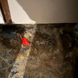 Γούβες Ηρακλείου Κρήτη: Βρήκαν γάτες να ζουν σε άθλιες συνθήκες έγκλειστες σε σπίτι μέσα στα κόπρανα και τα ούρα 21 GouvesIrakleiouKritisGatesSyllektrias7 2026 21