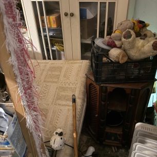 Γούβες Ηρακλείου Κρήτη: Βρήκαν γάτες να ζουν σε άθλιες συνθήκες έγκλειστες σε σπίτι μέσα στα κόπρανα και τα ούρα 28 GouvesIrakleiouKritisGatesSyllektrias7 2026 28