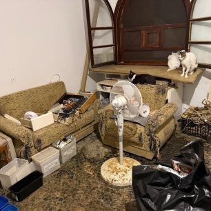 Γούβες Ηρακλείου Κρήτη: Βρήκαν γάτες να ζουν σε άθλιες συνθήκες έγκλειστες σε σπίτι μέσα στα κόπρανα και τα ούρα 33 GouvesIrakleiouKritisGatesSyllektrias7 2026 33