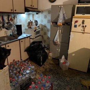 Γούβες Ηρακλείου Κρήτη: Βρήκαν γάτες να ζουν σε άθλιες συνθήκες έγκλειστες σε σπίτι μέσα στα κόπρανα και τα ούρα 34 GouvesIrakleiouKritisGatesSyllektrias7 2026 34