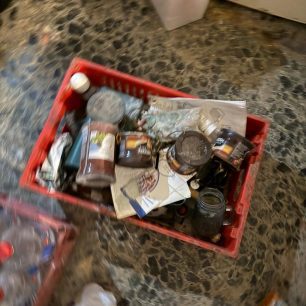 Γούβες Ηρακλείου Κρήτη: Βρήκαν γάτες να ζουν σε άθλιες συνθήκες έγκλειστες σε σπίτι μέσα στα κόπρανα και τα ούρα 50 GouvesIrakleiouKritisGatesSyllektrias7 2026 50